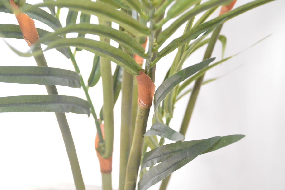 アレカパーム(1点物)