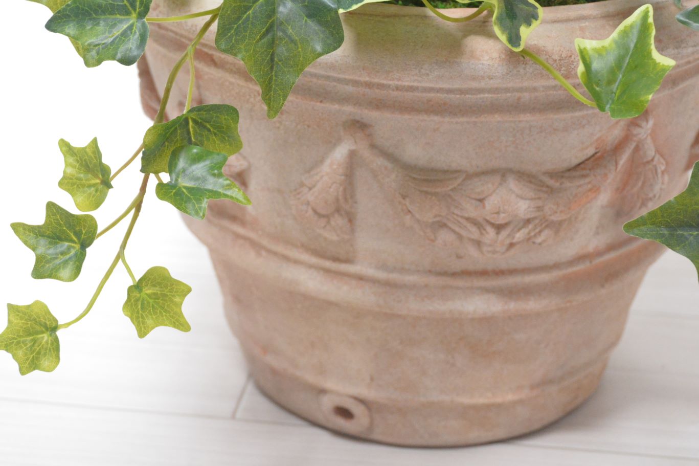 ストレチア・アイビー寄せ植え(1点物)