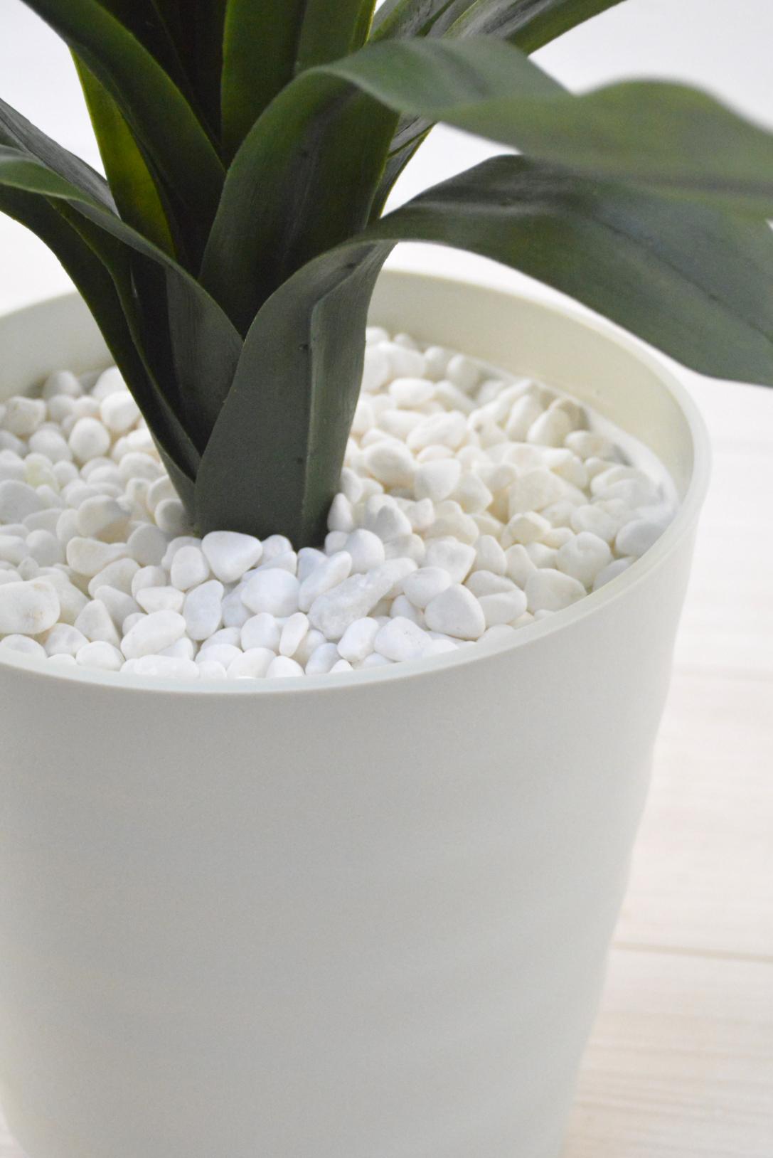 スカーレットスター