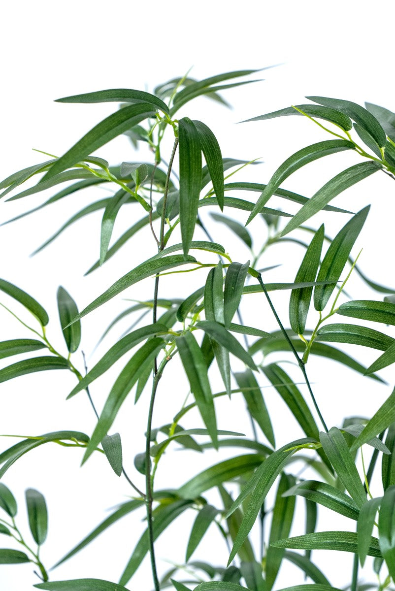 竹(1点物)