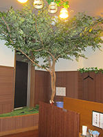 山口県 飲食店 人工樹木 3m 3種類