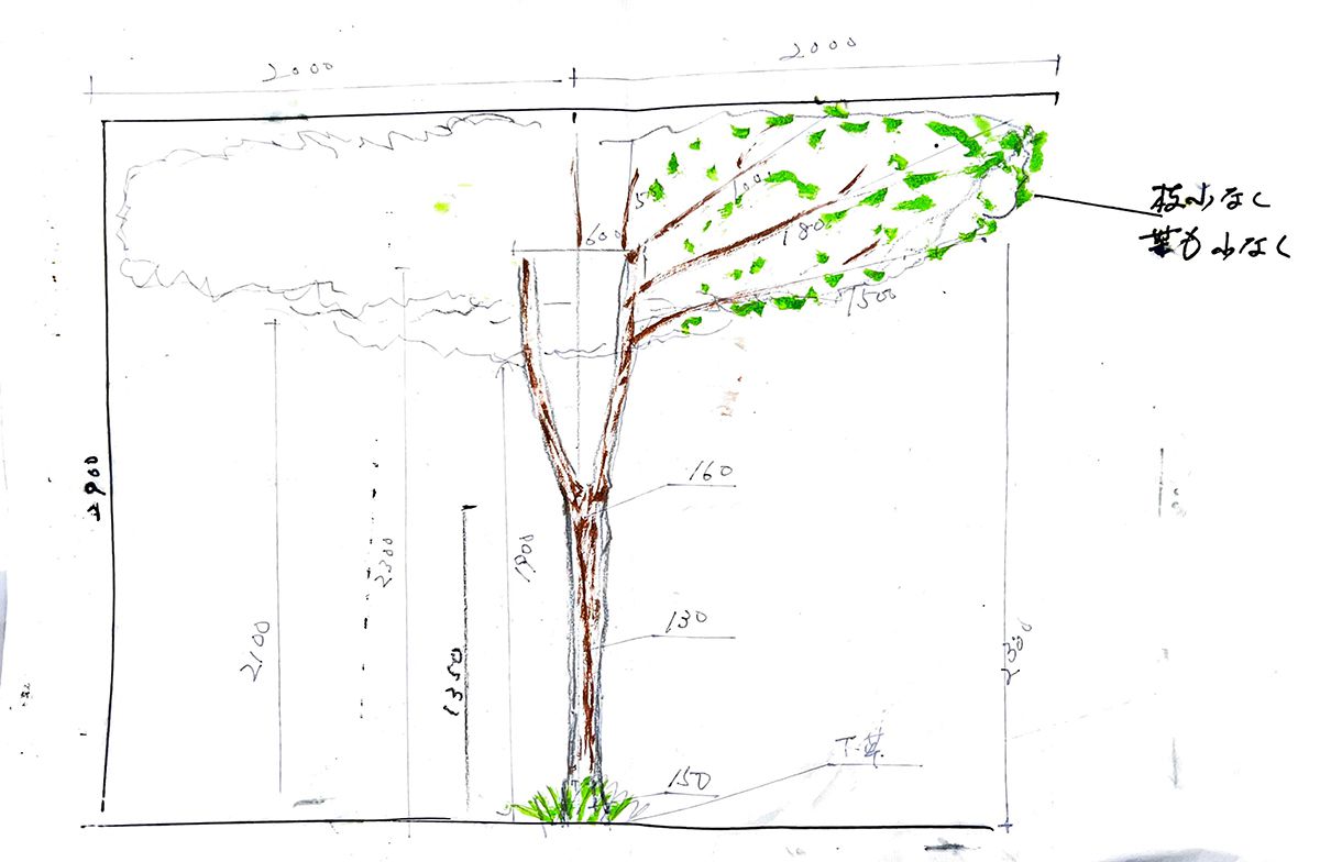 2021年12月千葉県 企業様 人工樹木