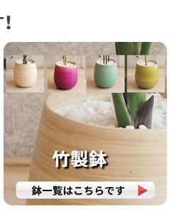 竹製鉢ページ