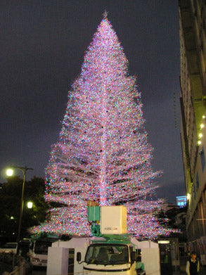 2007年10月 静岡県熱海市 特注 モミの木型　クリスマスツリー