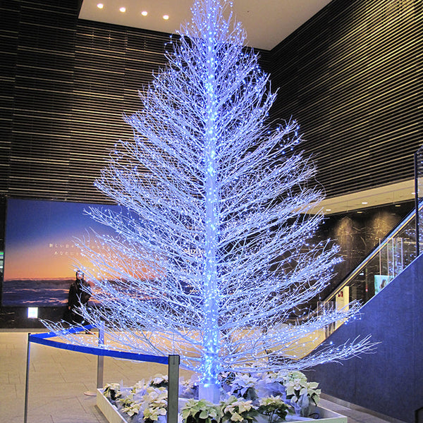 2012_12_3_5m2_600x600_crop_cen