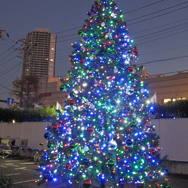 2014年11月 東京都東雲 高さ 約4m クリスマスツリー