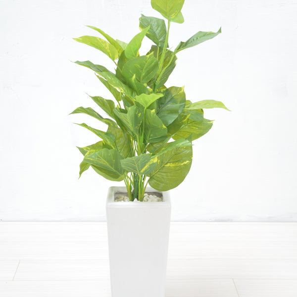 ポトス（1点物）