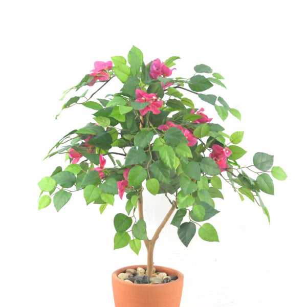 DSC_4071_cb4f36f1-8c89-45d4-