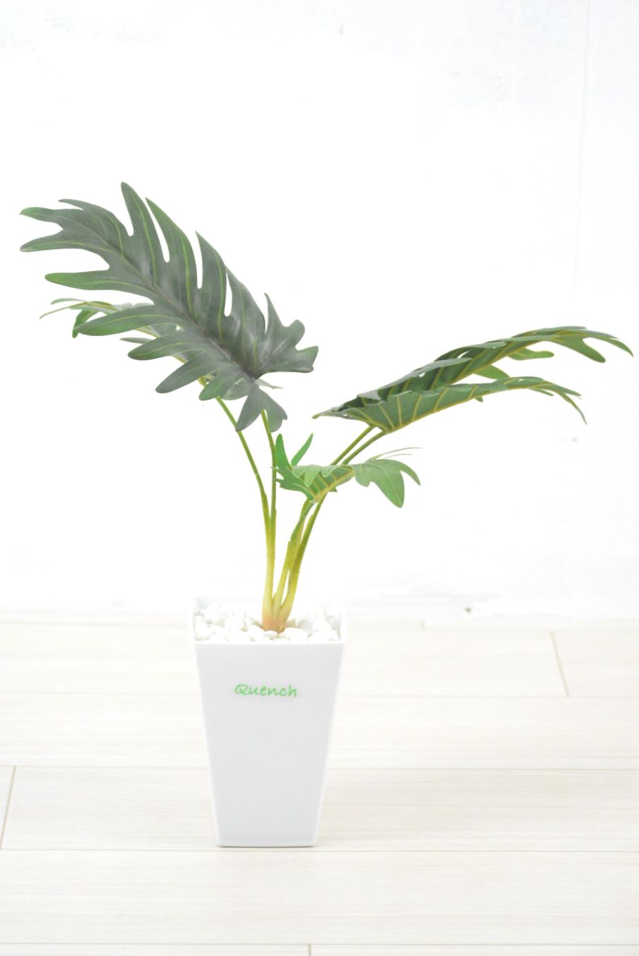 週末特価！5鉢価格！アレカヤシ　ウンベラータ　ティネケ　苗　苗木　観葉植物 週末特価！5鉢価格！アレカヤシ ウンベラータ ティネケ 苗 苗木 観葉