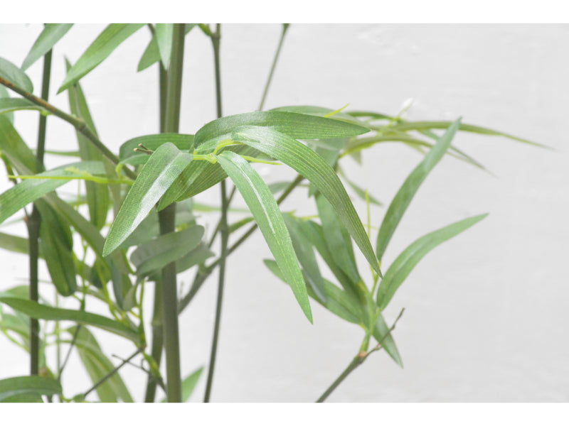 竹(1点物)