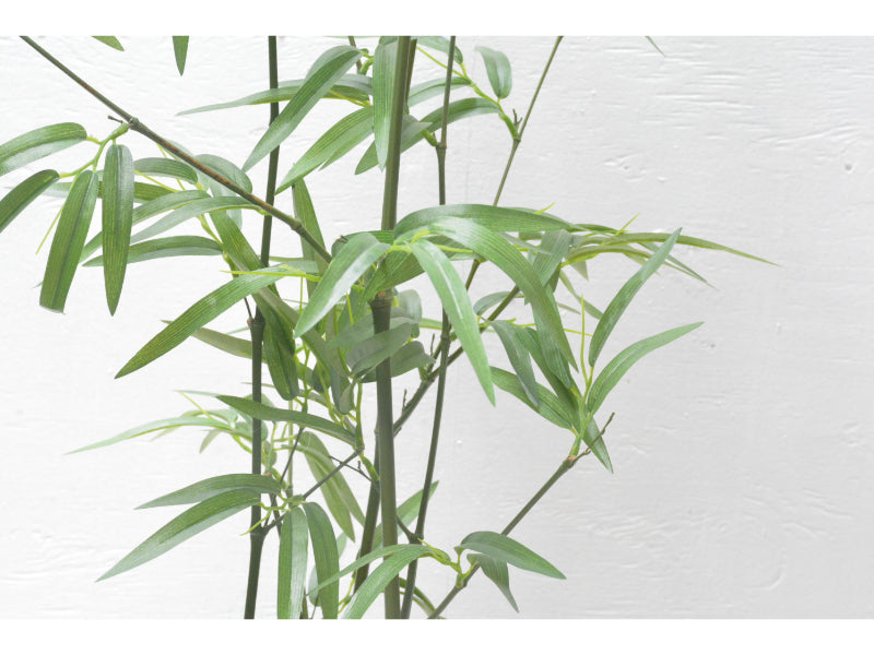 竹(1点物)