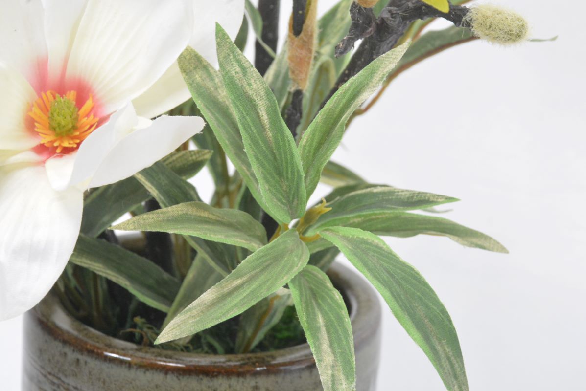 もくれん(木蓮)(1点物)