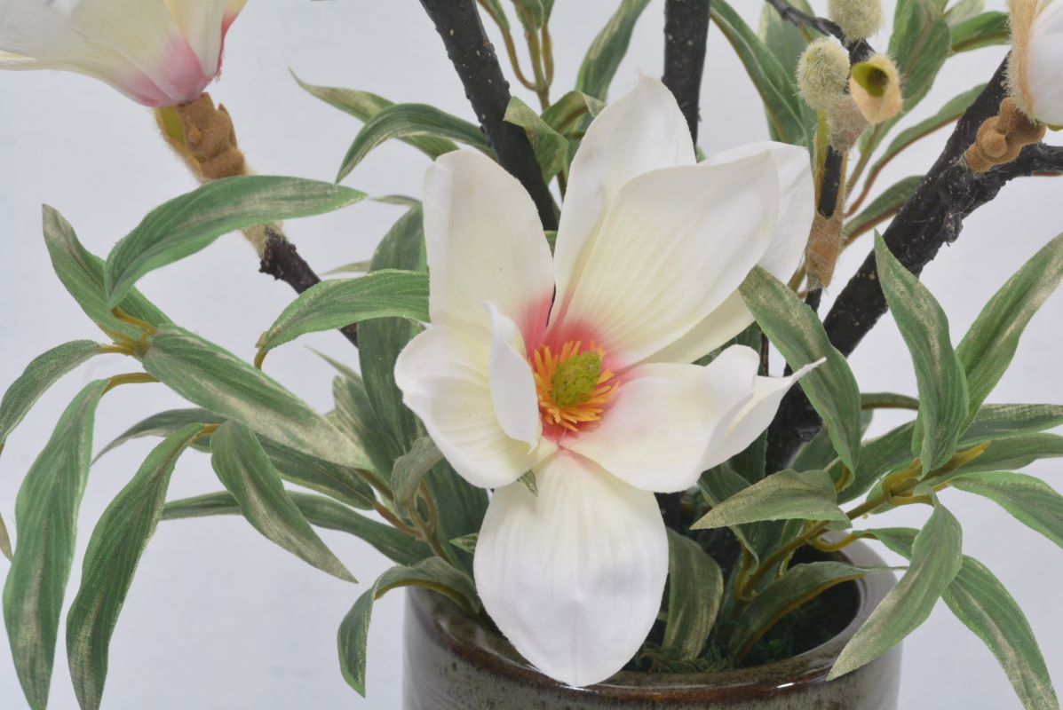 もくれん(木蓮)(1点物)