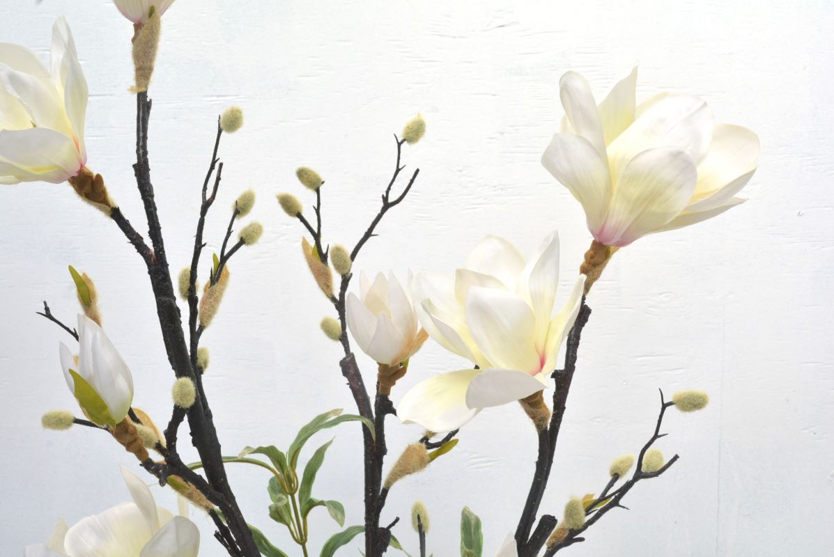 もくれん(木蓮)(1点物)