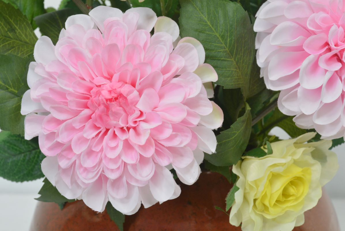 ダリア・バラ(1点物)