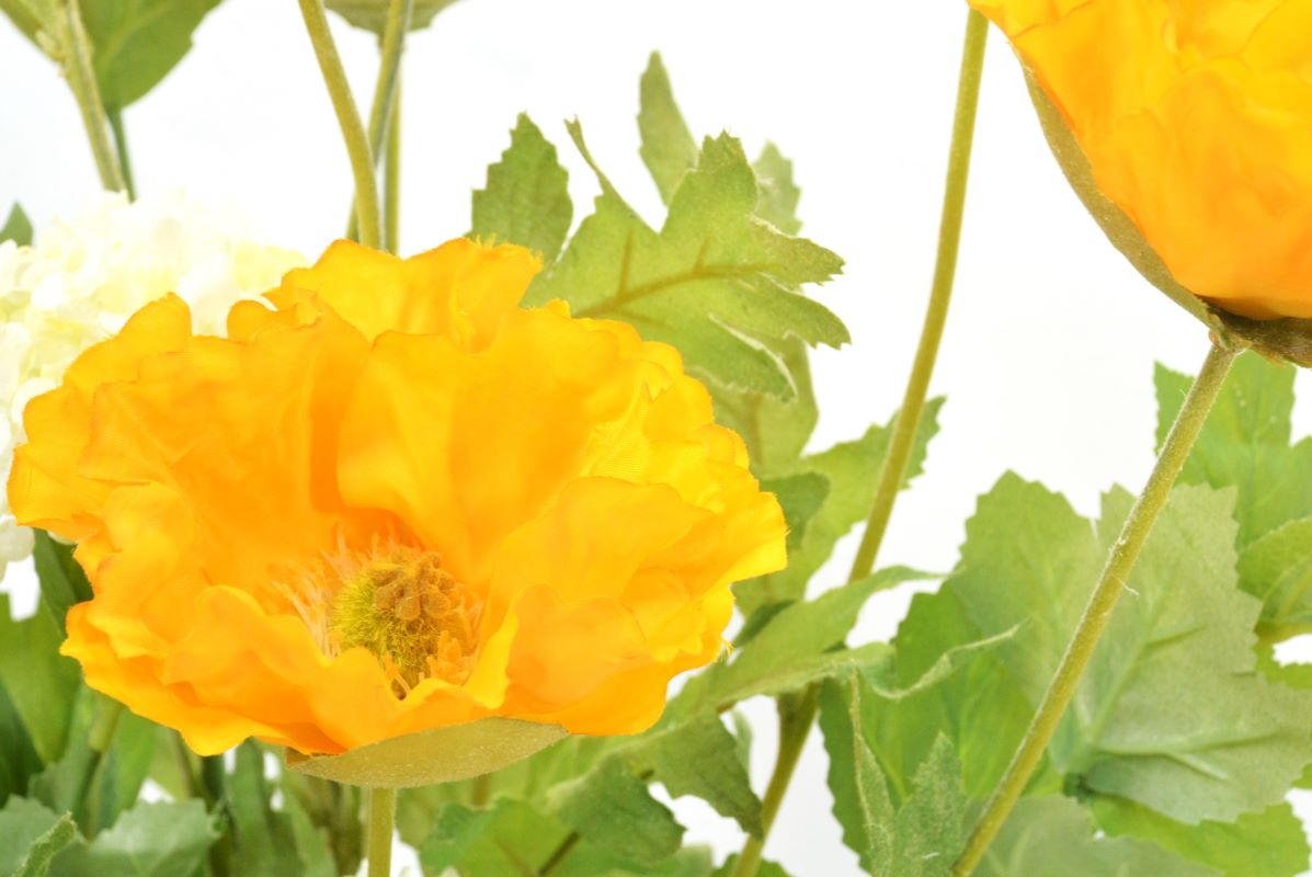 ポピー・スノーボール(1点物)