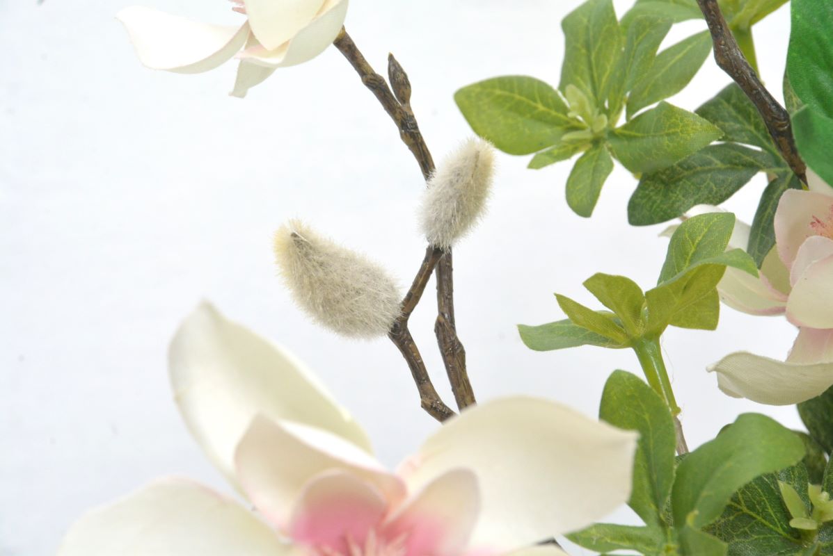 もくれん(木蓮)・ピオニー(1点物)