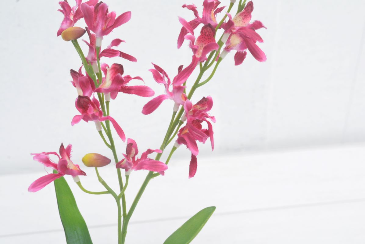 ミニオーキット(1点物)