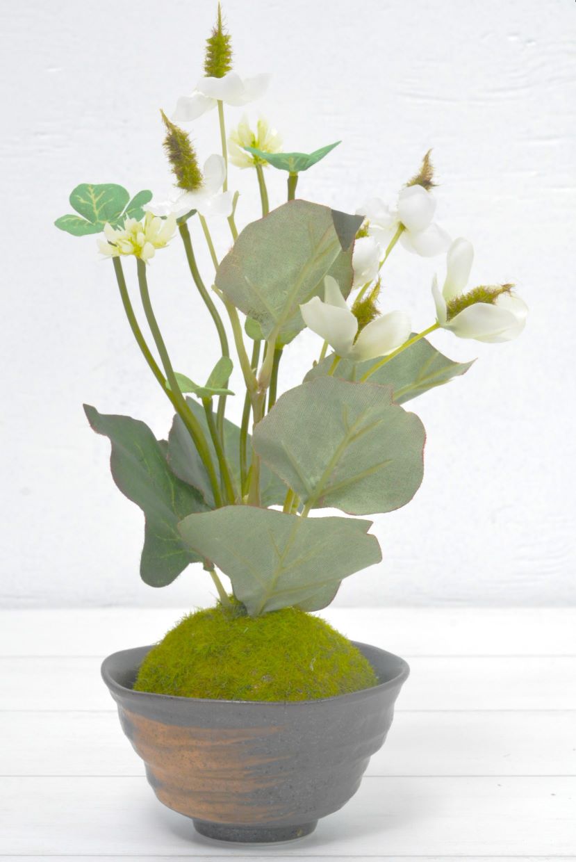 クローバー・ドクダミ(1点物)