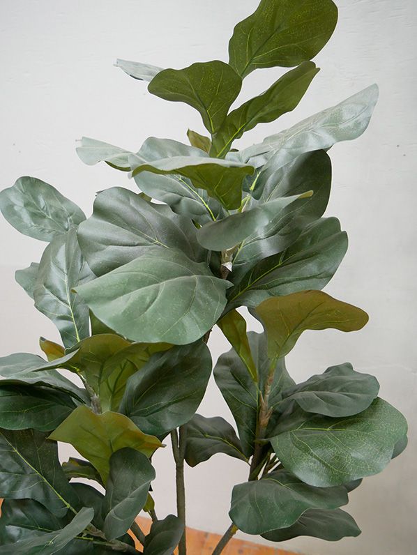 GOW-289