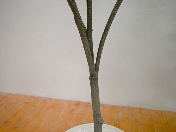 GOW-289