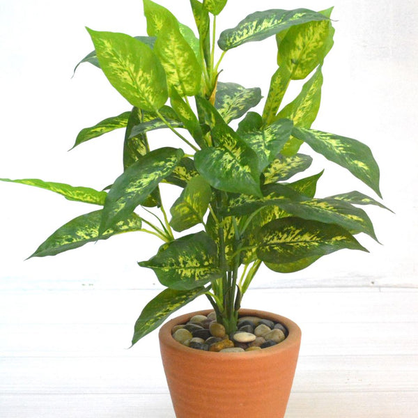 光の園 ディフェンバキア1.1 426A175 アートグリーン 人工観葉植物 光触媒 ○光の園 (426A175-57) ディフェンバキア1.1 送料無料 92445